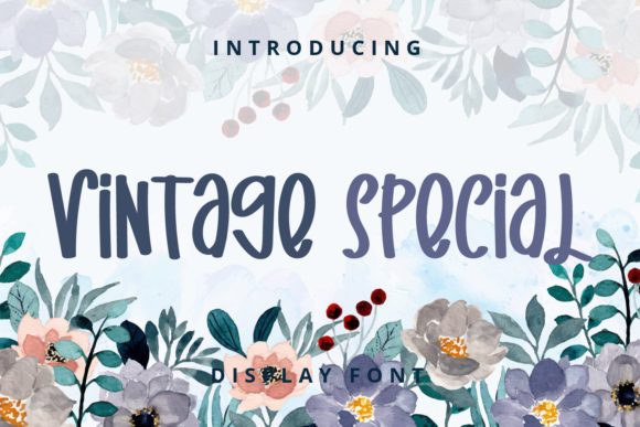 Vintage Special: A Playful Display Font for Handmade Charm